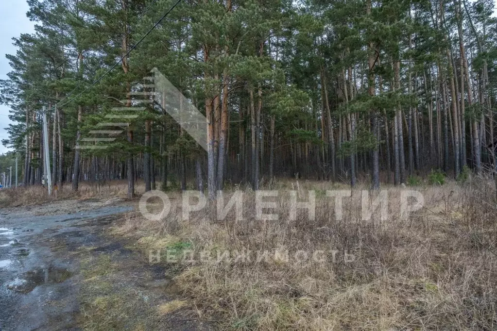 Участок в Свердловская область, Сысертский муниципальный округ, с. ... - Фото 1