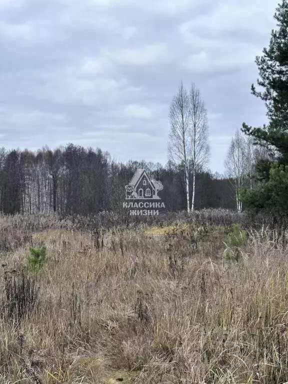 Участок в Нижегородская область, Бор муниципальный округ, д. Боярское ... - Фото 1