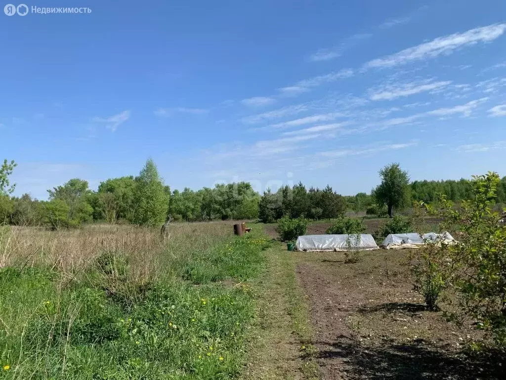 Дом в село Устье, Советская улица (25 м) - Фото 1