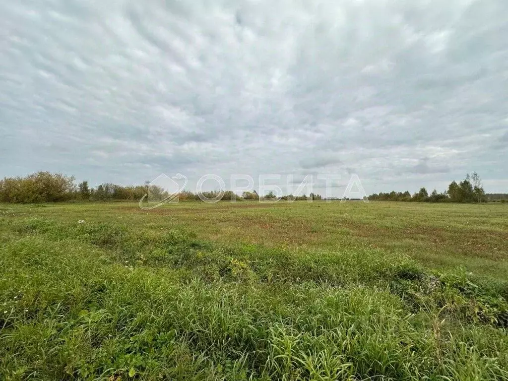 Участок в Тюменская область, Тюменский район, д. Ушакова  (338.0 сот.) - Фото 0