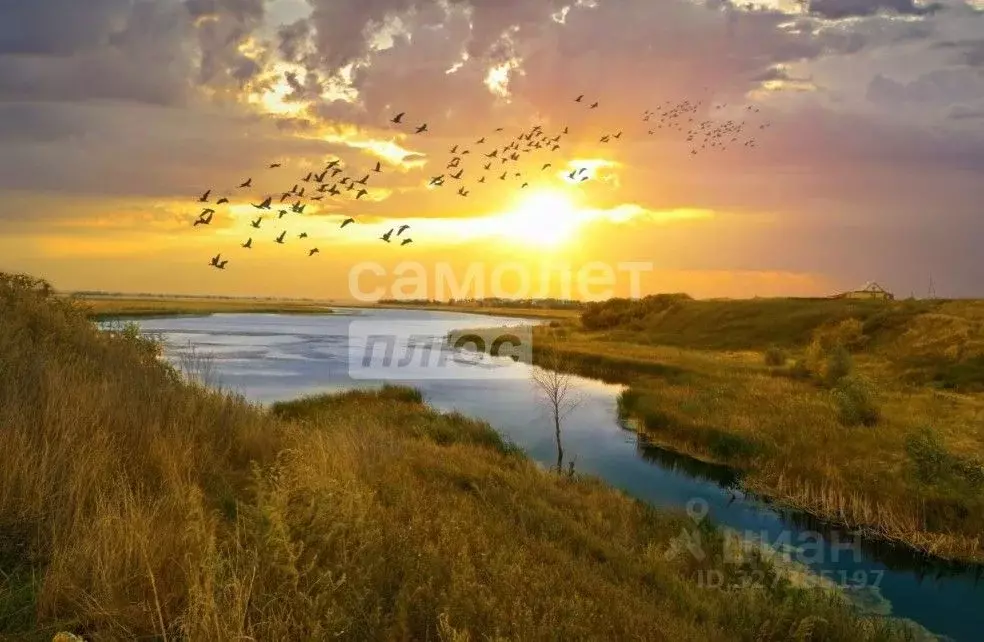 Дом в Омская область, Любинский район, с. Любино-Малороссы ... - Фото 2