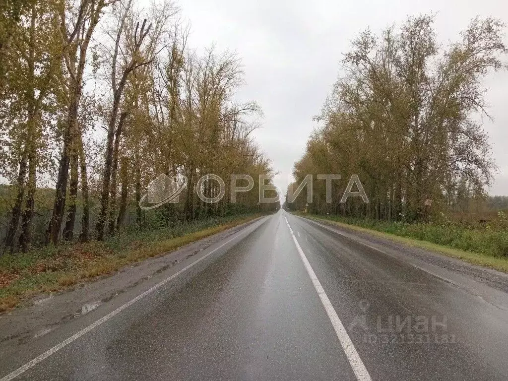 Участок в Тюменская область, Тюменский район, с. Луговое Плодовая ул. ... - Фото 2