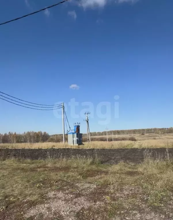 Участок в Курганская область, Шадринский муниципальный округ, с. Ключи ... - Фото 2