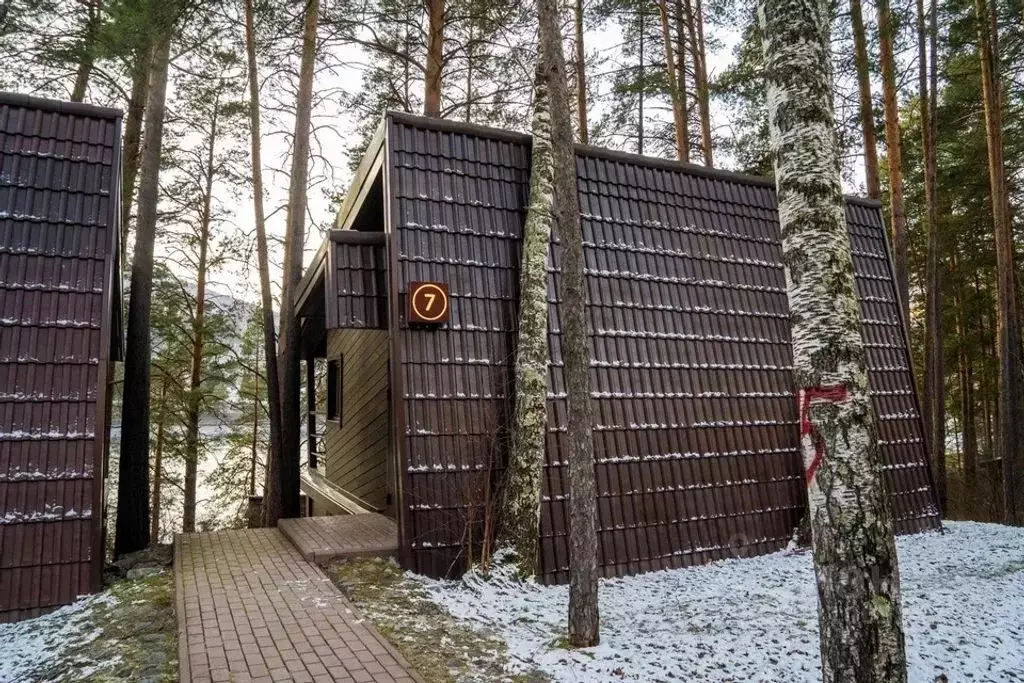 Дом в Алтай, Майминский район Р-256 Чуйский тракт, 479-й км (24 м) - Фото 0