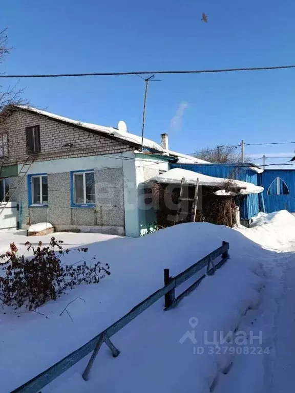 Дом в Амурская область, Благовещенский район, с. Новотроицкое  (65 м) - Фото 2