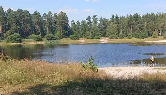 Участок в Владимирская область, пос. Гусевский ул. Восточная (19.0 ... - Фото 1