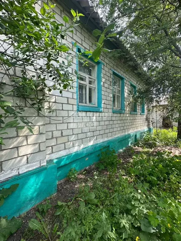 Дом 75,2 м на участке 48,9 сот. - Фото 1