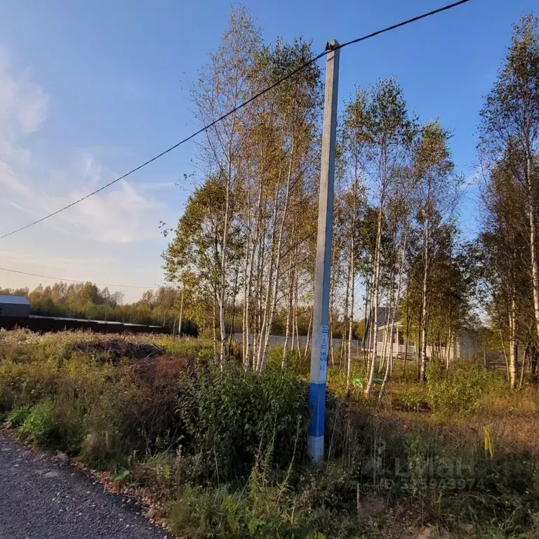 Участок в Московская область, Дмитровский муниципальный округ, пос. ... - Фото 2