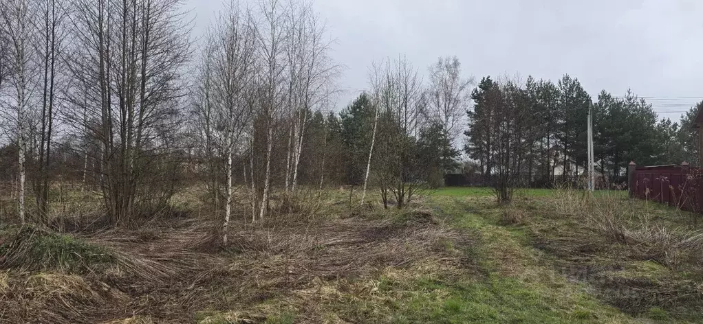 Участок в Московская область, Раменский муниципальный округ, д. ... - Фото 1