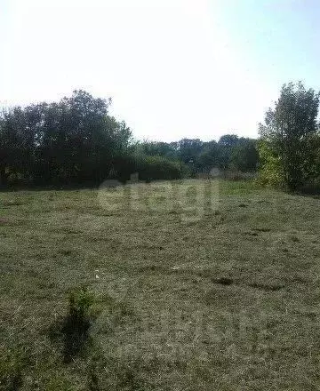 Участок в Ростовская область, Неклиновский район, ... - Фото 1