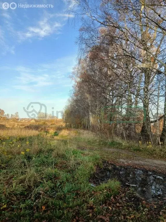 Участок в Калининградская область, Зеленоградский муниципальный округ, ... - Фото 1