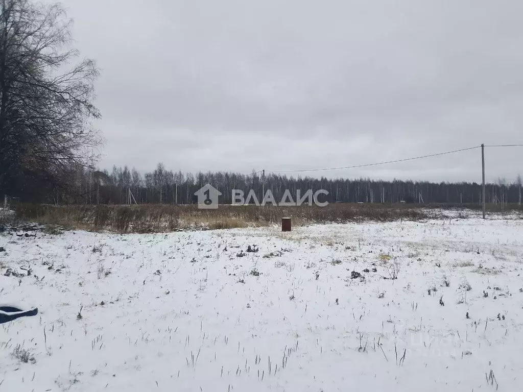 Участок в Нижегородская область, с. Безводное  (14.95 сот.) - Фото 1