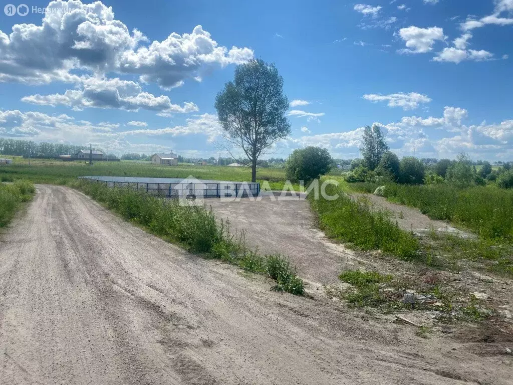 Участок в Дмитровский городской округ, деревня Кончинино (5.3 м) - Фото 0