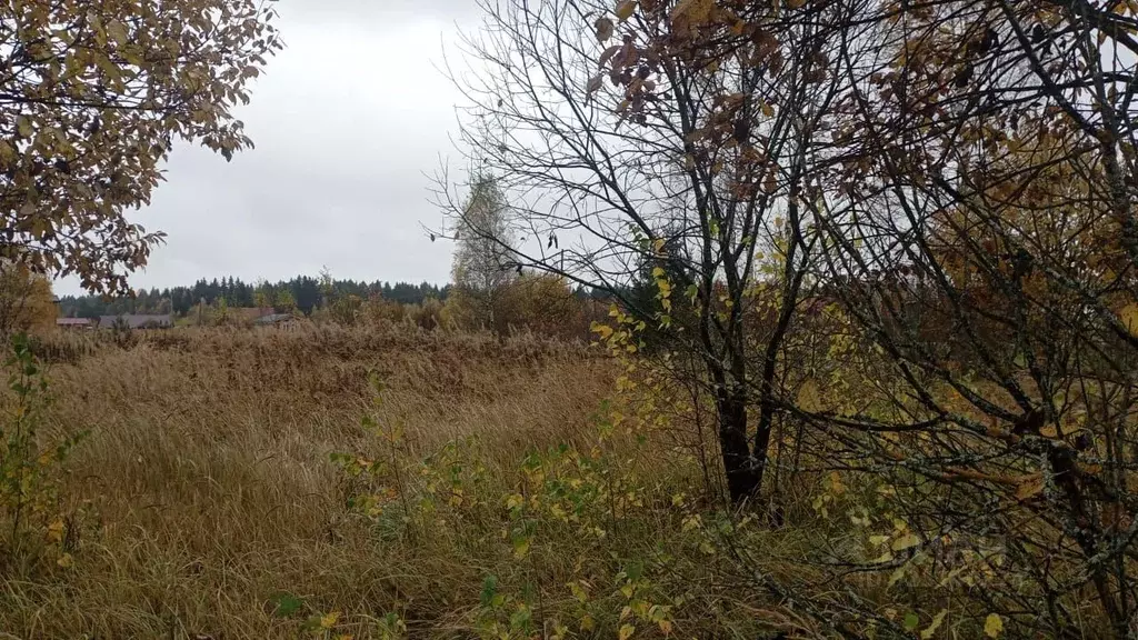 Участок в Московская область, Можайский муниципальный округ, д. ... - Фото 1