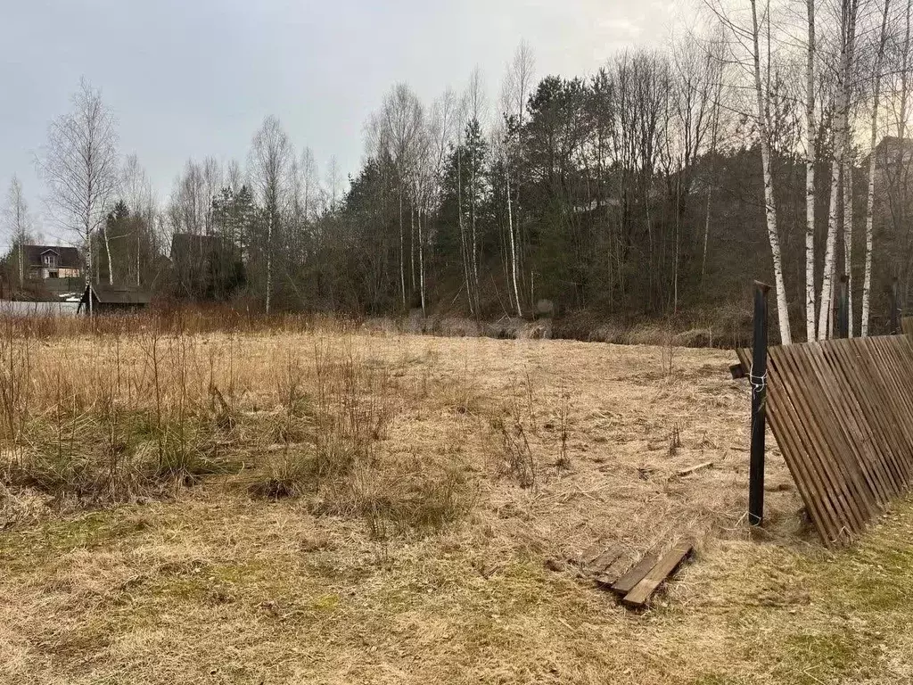 Участок в Ленинградская область, Киришский район, Будогощь пгт, ... - Фото 1