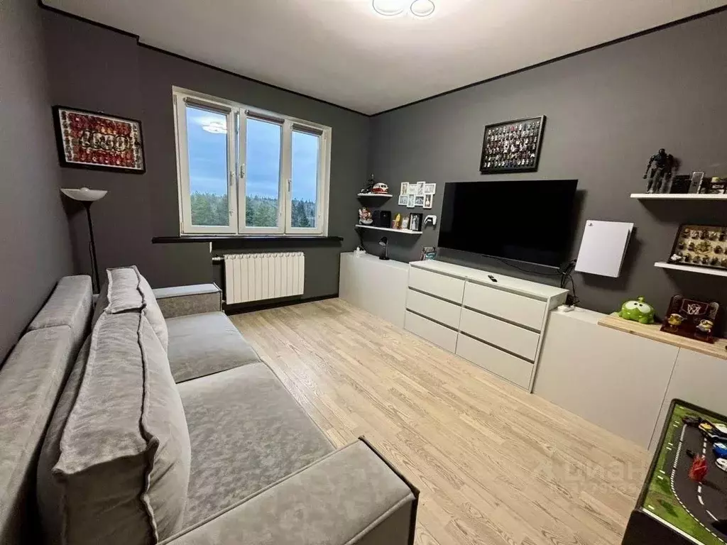 3-к кв. Московская область, Солнечногорск городской округ, Голубое пгт ... - Фото 2