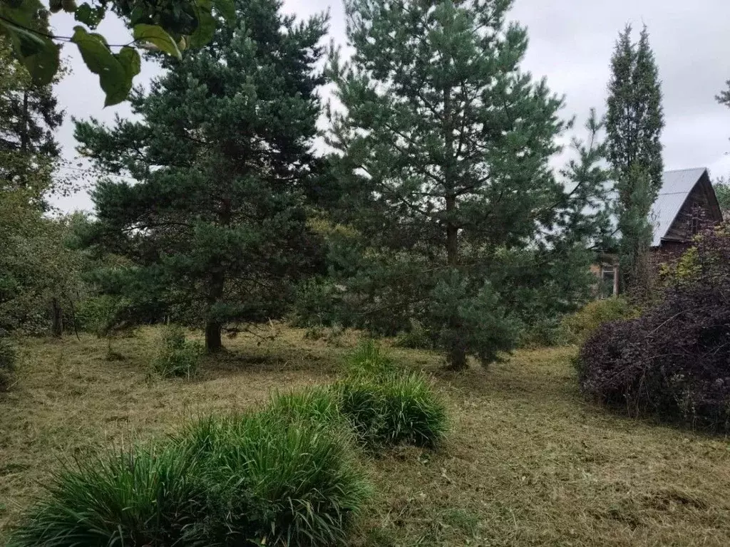 Дом в Москва Отдых СНТ, 79 (70 м) - Фото 1