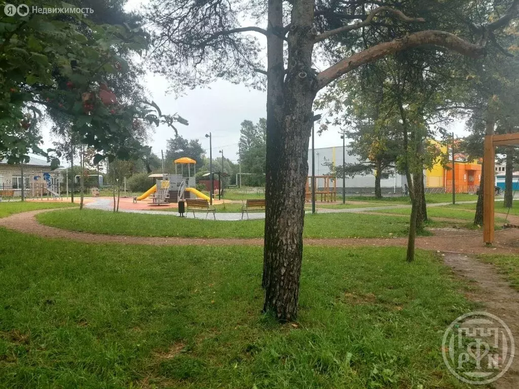 2-комнатная квартира: посёлок Кобралово, Лесная улица, 2А (45 м) - Фото 2