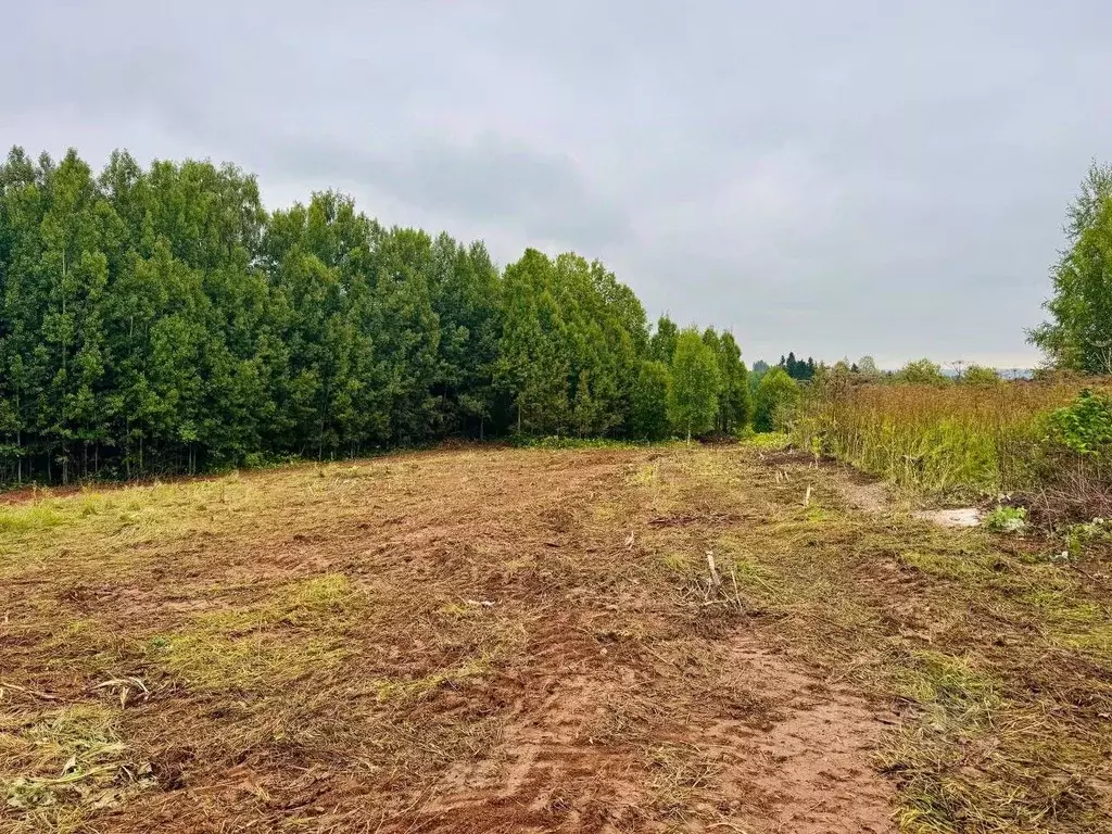 Участок в Пермский край, Нытвенский муниципальный округ, Нива-2 СНТ 94 ... - Фото 2