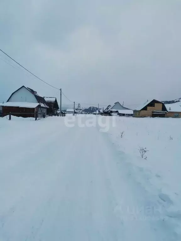 Участок в Алтай, Усть-Коксинский район, с. Усть-Кокса ул. Шукшина ... - Фото 1