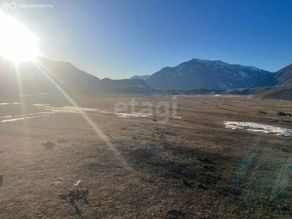 Участок в Улаганский район, село Чибит (12 м) - Фото 0