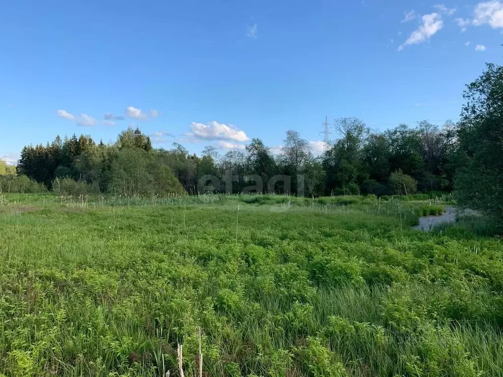 Участок в Московская область, Истра муниципальный округ, д. Шишаиха ... - Фото 1