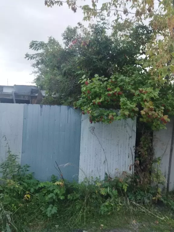 Участок в Челябинская область, Челябинск Тракторосад № 3 СНТ,  (414.0 ... - Фото 0