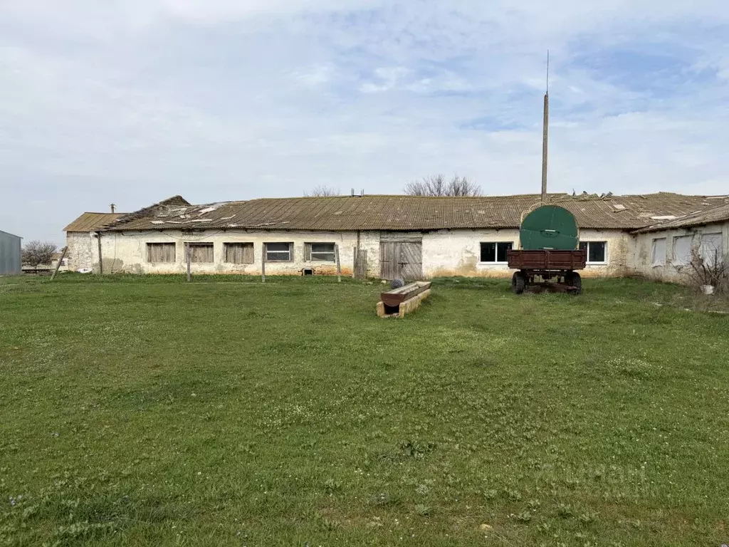 Помещение свободного назначения в Крым, Сакский район, Лесновское ... - Фото 1