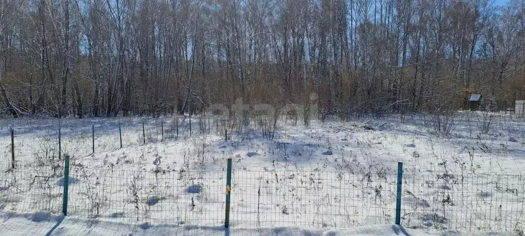 Участок в Тульская область, Заокский район, Демидовское с/пос, с. ... - Фото 2