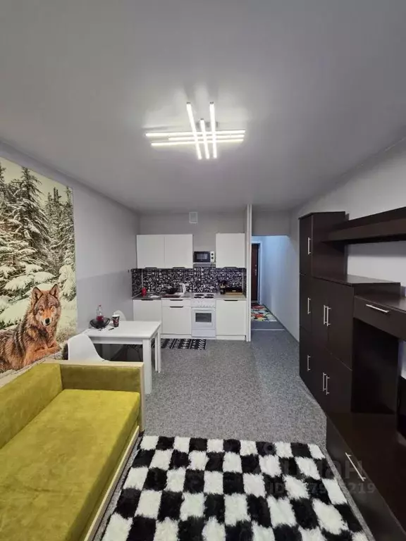 Студия Воронежская область, с. Новая Усмань ул. Раздольная, 1 (29.0 м) - Фото 1