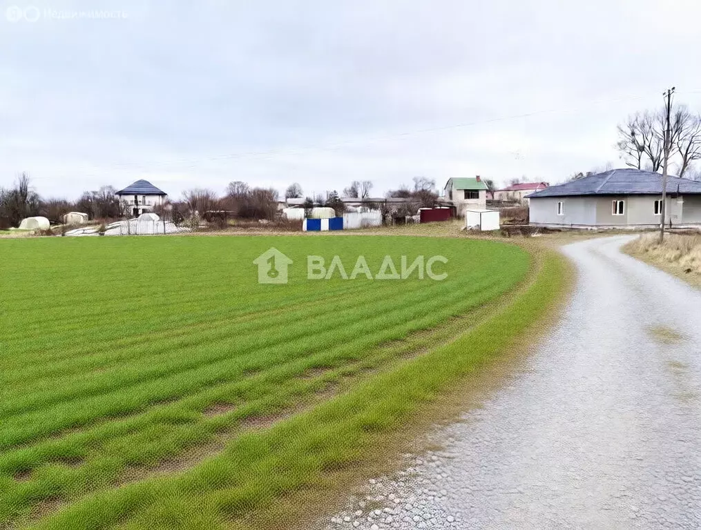 Участок в Калининградская область, Зеленоградский муниципальный округ, ... - Фото 2