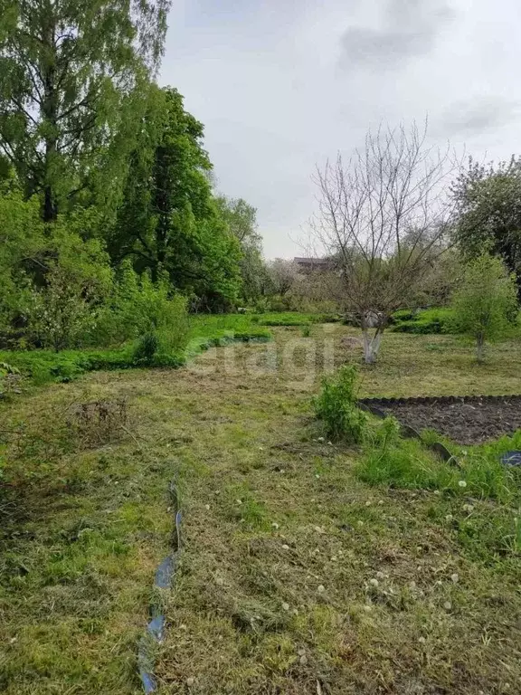 Участок в Брянская область, Брянск ул. Ильича (12.3 сот.) - Фото 1