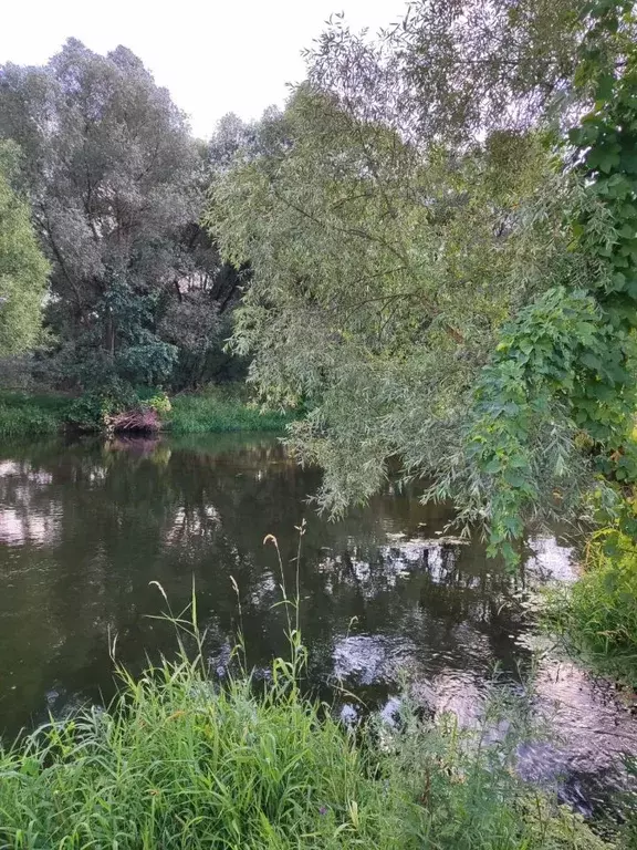 Участок в Московская область, Ступино городской округ, Шелково Вилладж ... - Фото 2