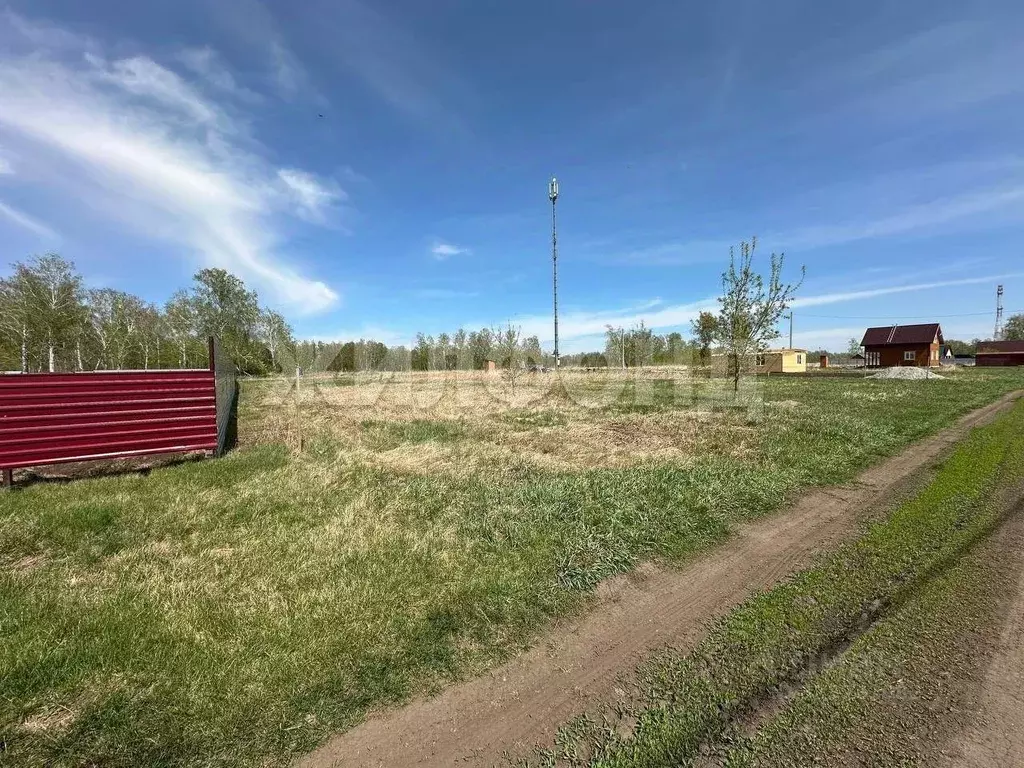 Участок в Новосибирская область, Новосибирский район, Боровской ... - Фото 2