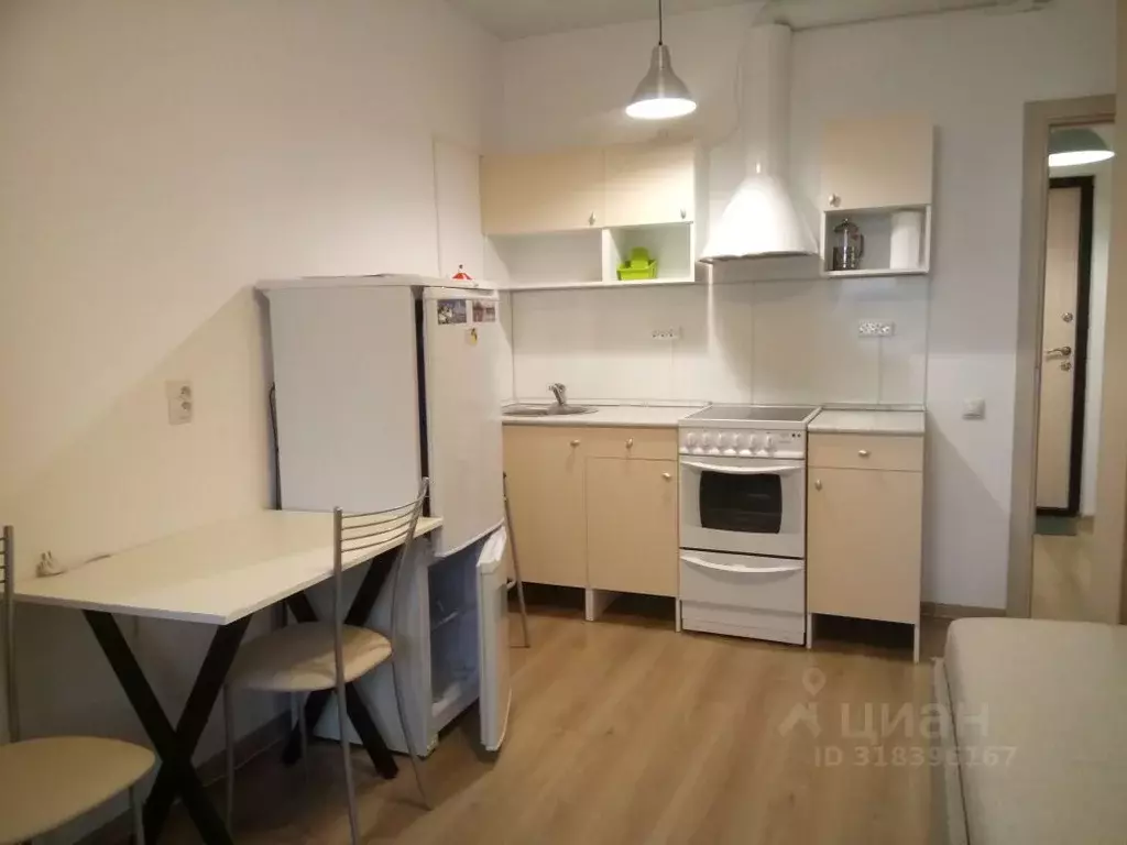 Студия Санкт-Петербург просп. Королева, 57к1 (21.2 м) - Фото 0