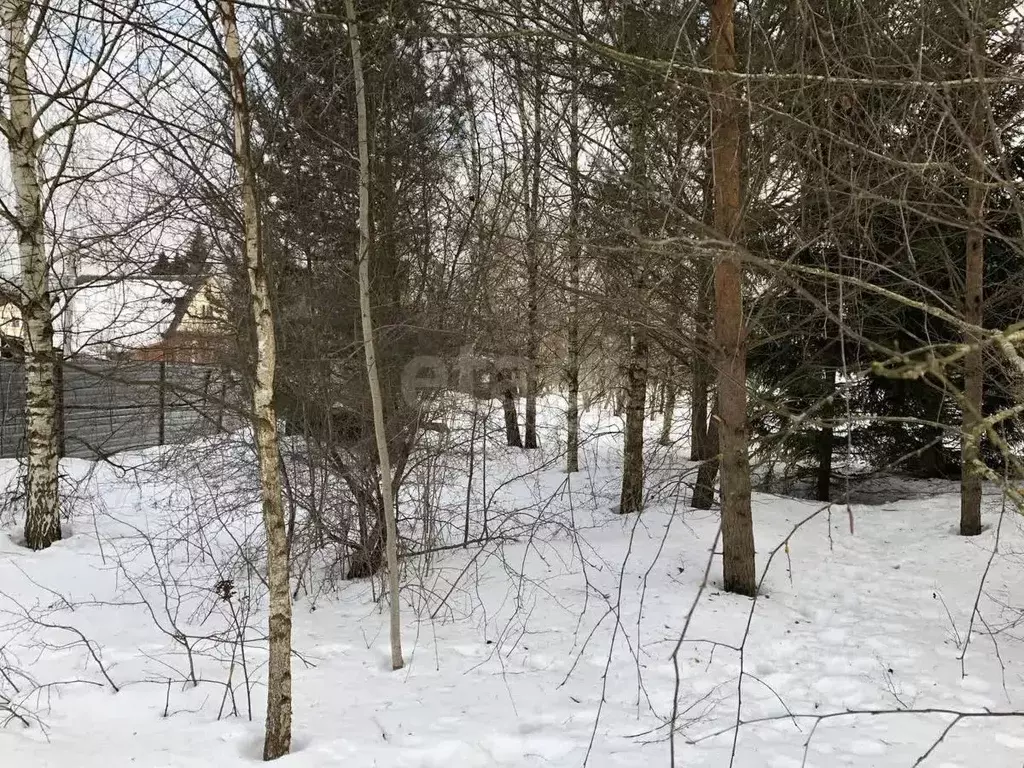 Участок в Московская область, Дмитровский городской округ, ... - Фото 1