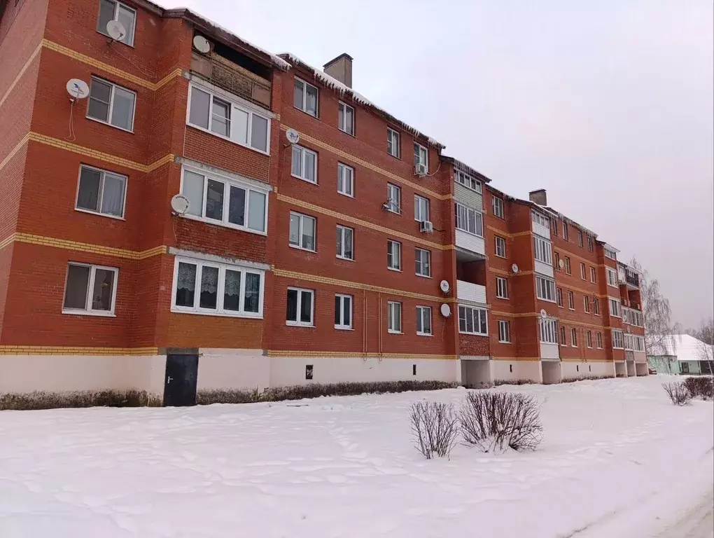 2-к кв. Московская область, Орехово-Зуевский городской округ, пос. ... - Фото 2