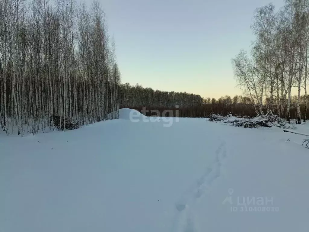 Участок в Челябинская область, Сосновский район, с. Кременкуль  (13.2 ... - Фото 1