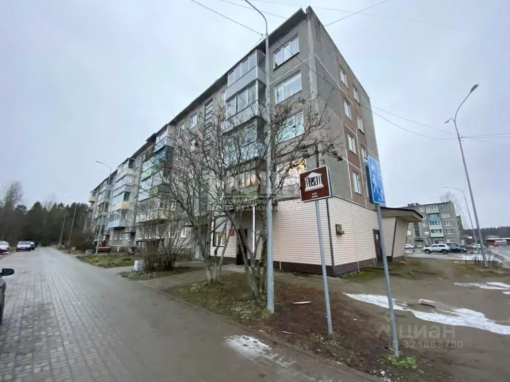 1-к кв. Карелия, Суоярви ул. Кайманова, 5 (30.2 м) - Фото 1