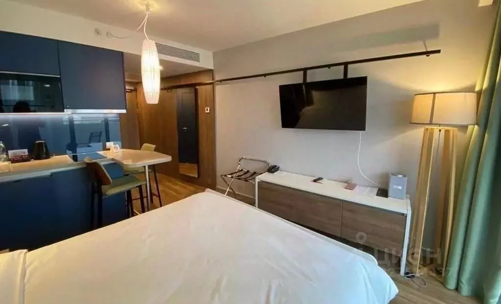 Студия Краснодарский край, Сочи городской округ, Дагомыс пгт ул. ... - Фото 2