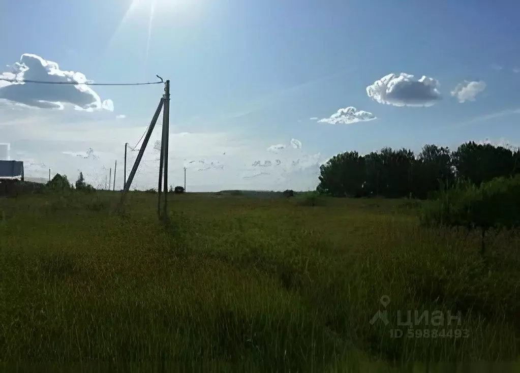 Участок в Тульская область, Ясногорский район, Иваньковское ... - Фото 1