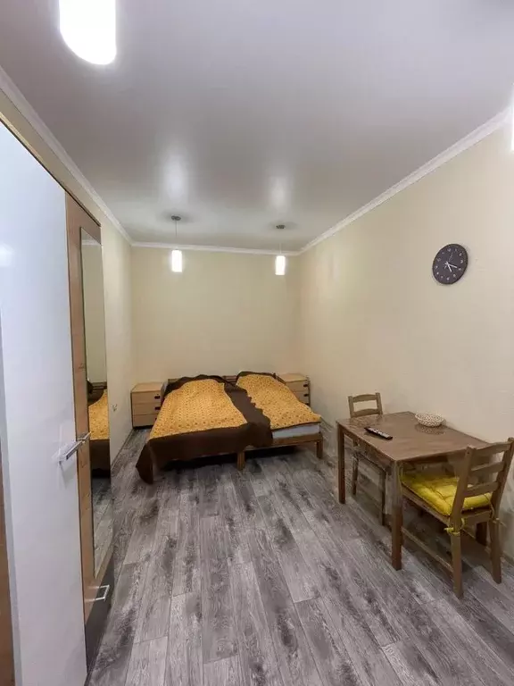 Студия Ставропольский край, Кисловодск ул. Шаумяна, 3 (25.0 м) - Фото 2