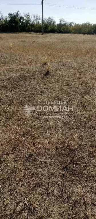 Участок в Ростовская область, Октябрьский район, пос. Персиановский ... - Фото 2