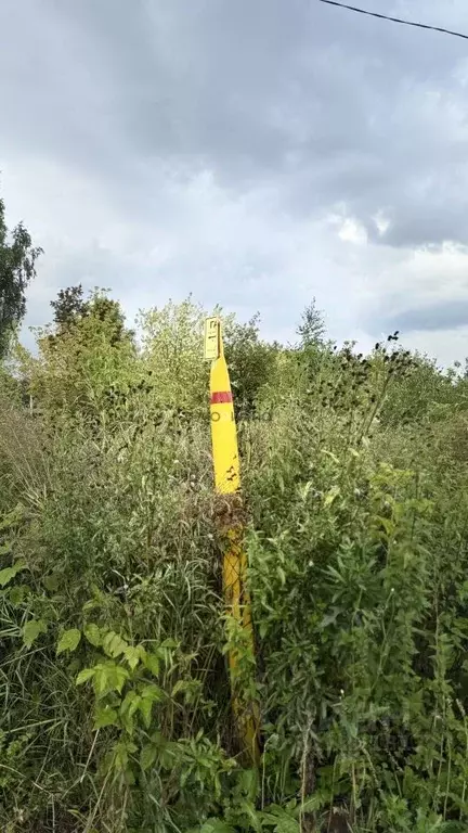 Участок в Кировская область, Киров городской округ, пос. Чистые Пруды ... - Фото 1