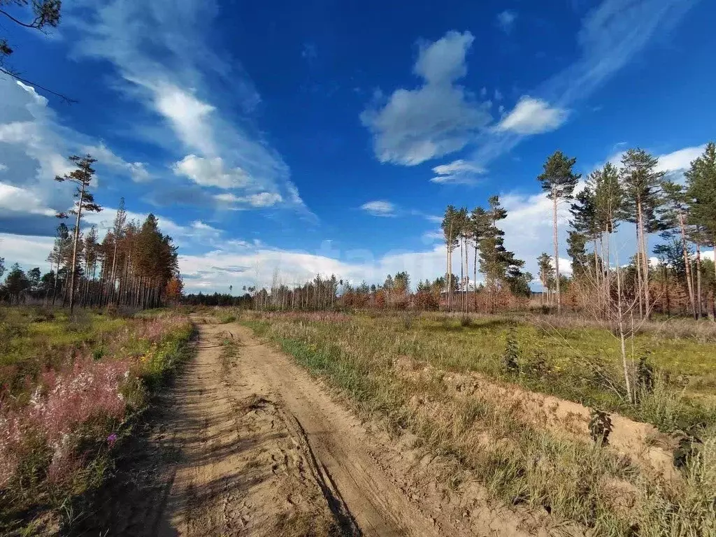 Участок в Забайкальский край, Читинский район, с. Смоленка  (40.0 ... - Фото 2