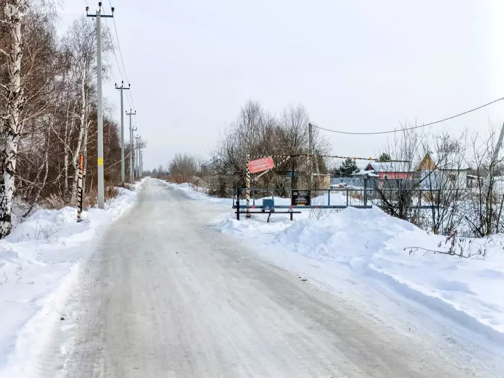 Участок в Тюмень, садовое товарищество Поле Чудес, Западная улица (10 ... - Фото 2