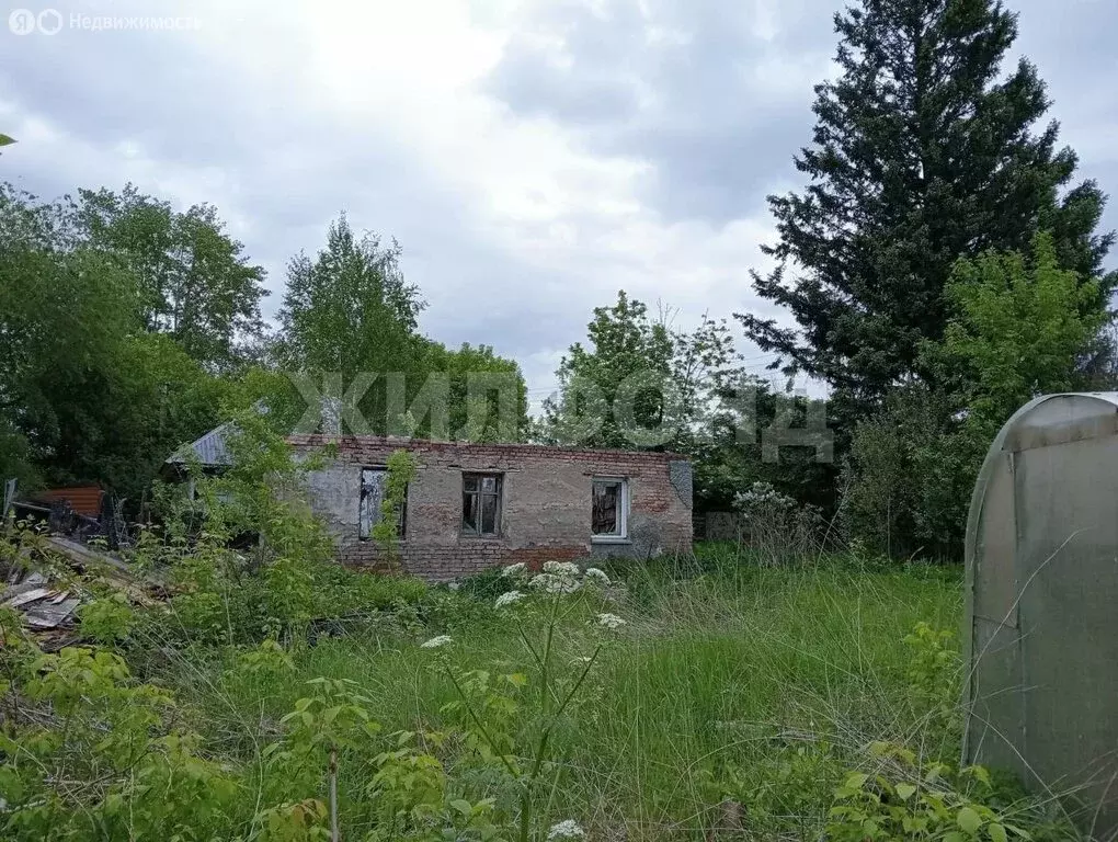 Участок в Новосибирск, Ольховская улица (6.97 м) - Фото 1