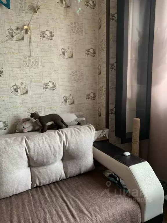 Комната Москва ул. Доватора, 11К2 (13.0 м) - Фото 2