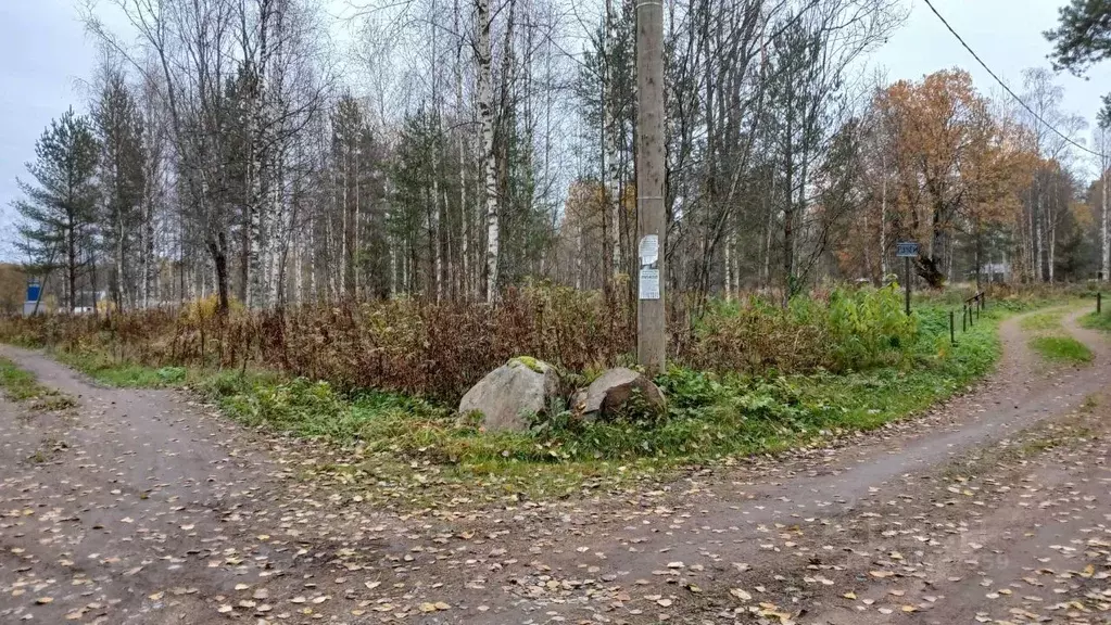 Участок в Ленинградская область, Выборгский район, Красносельское ... - Фото 1