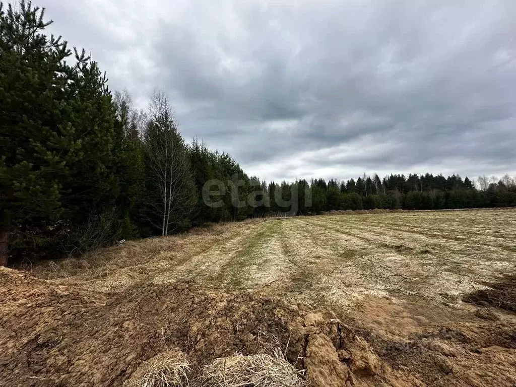 участок в московская область, клин городской округ, решетниково рп ул. . - Фото 1